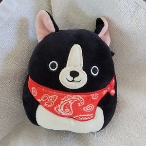 Squishmallow teddy the Boston terrier